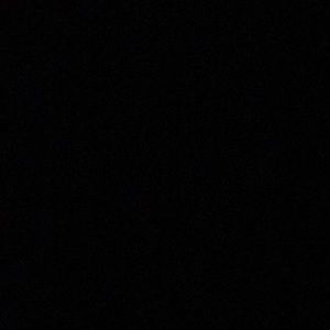 Meet your Posher, Elisabel